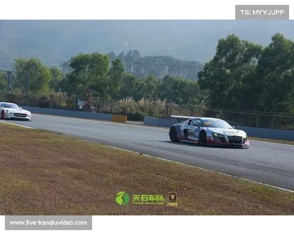 东京马拉松组织工作获赞，亚洲赛事服务水平受国际好评