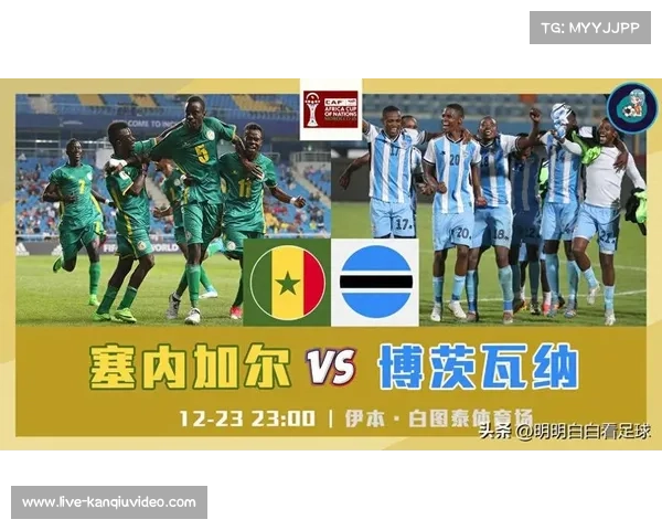 塞内加尔对阵摩洛哥，非洲杯巅峰对决前瞻